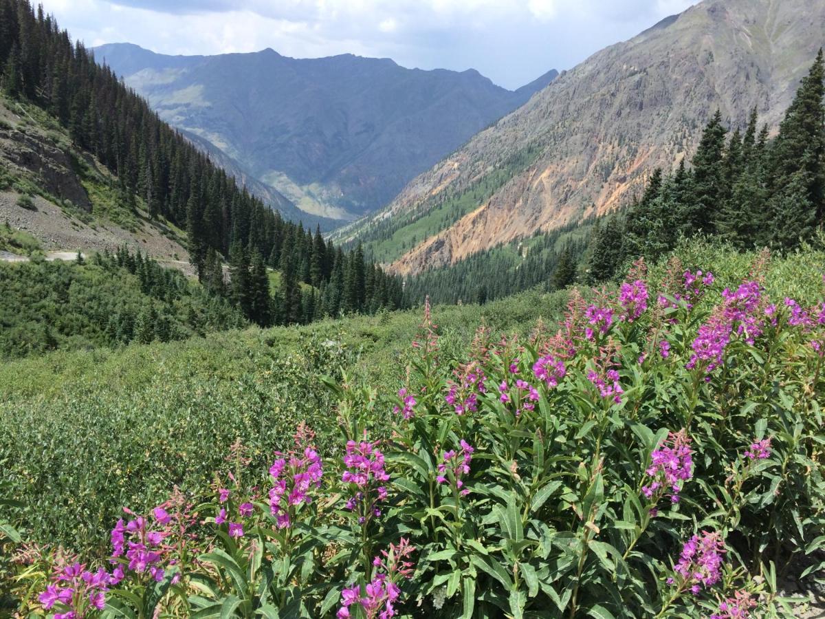 Cascade Village 301, Durango Co エクステリア 写真