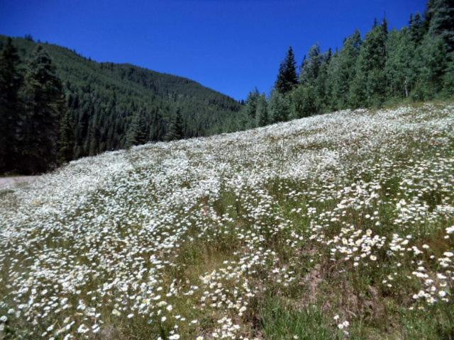 Cascade Village 301, Durango Co エクステリア 写真