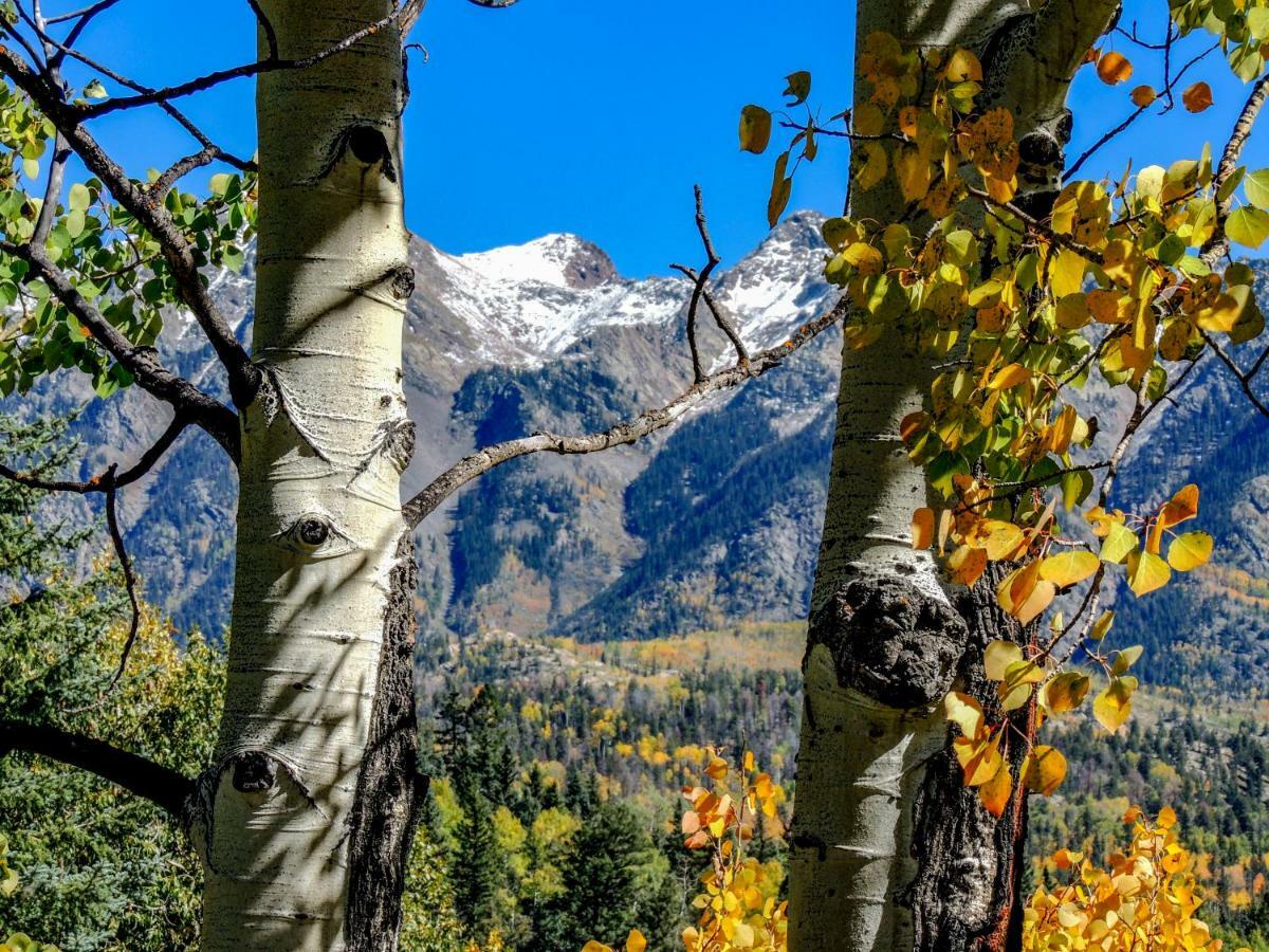 Cascade Village 301, Durango Co エクステリア 写真